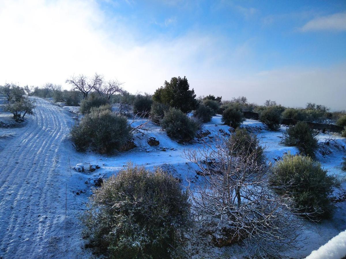 Rural Magalan Holiday home Pozo Alcon