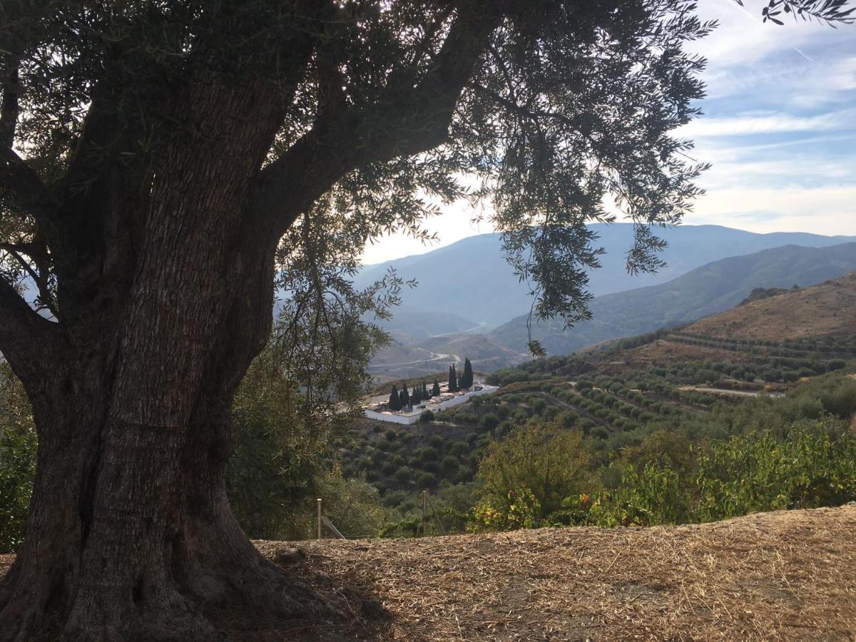 Apartamento Jardin Andaluz Alhambra