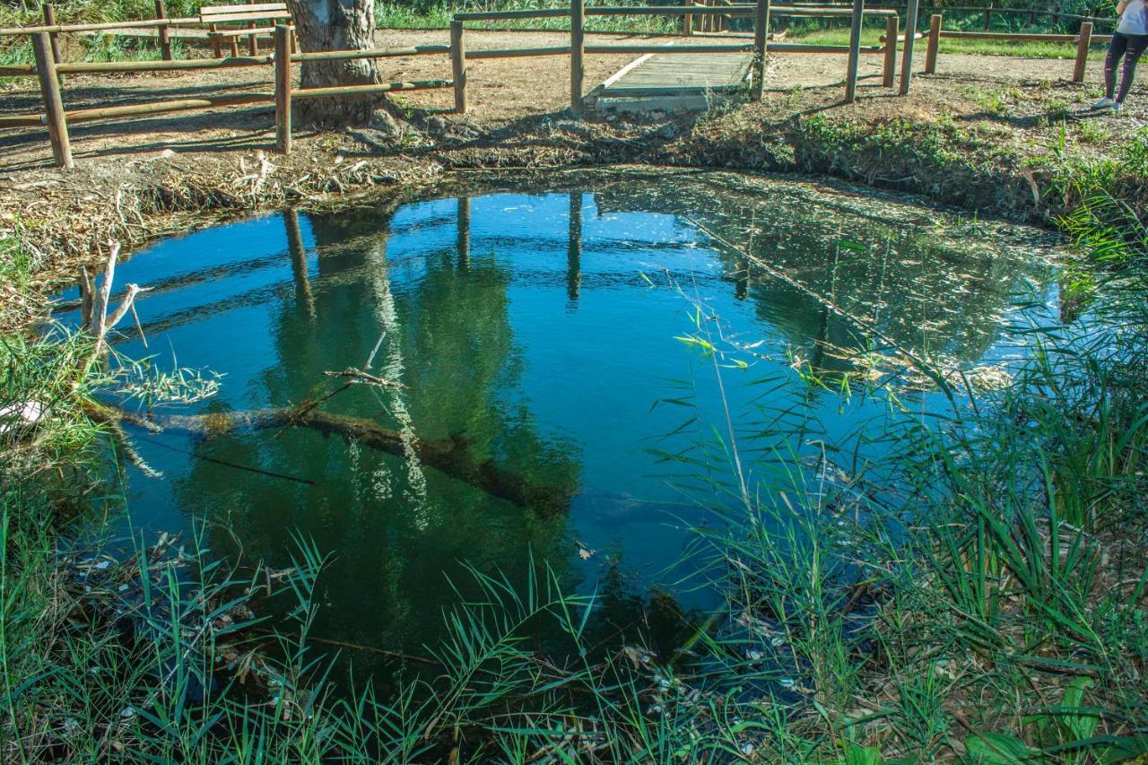 Paradise Ebro 2 Deltebre