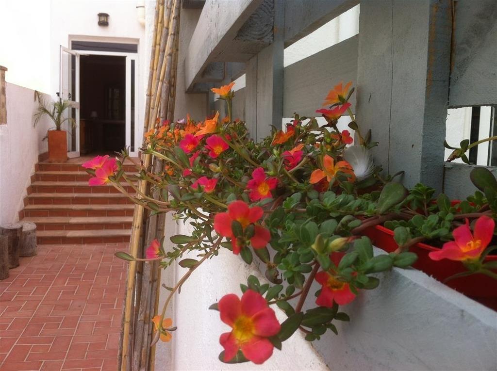 Apartamento Nadine *