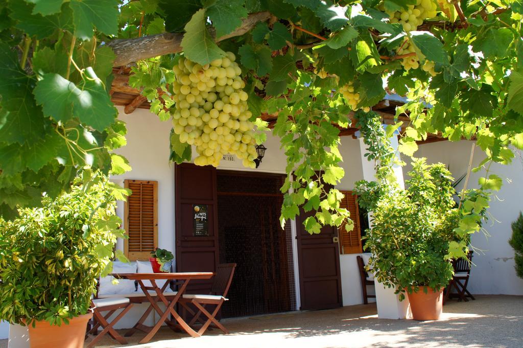 Sa Vinya D'en Palerm Agroturismo
