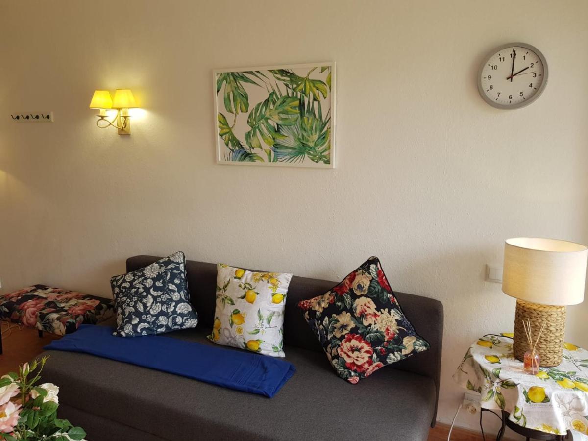 Apartamento Luminoso Y Tranquilo Estudio Zona Botánico Vista Teide *