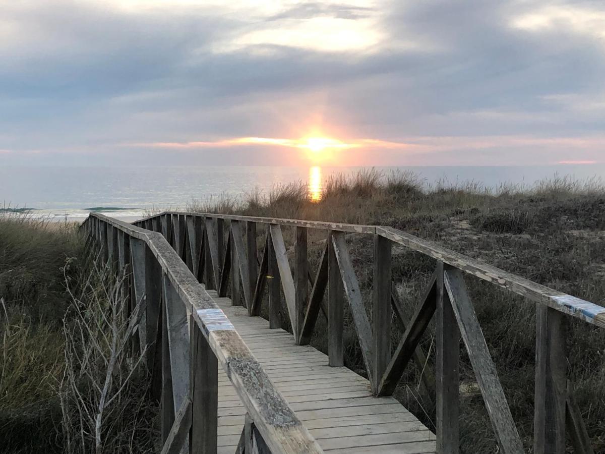 Gatu Conil Sunset House Con Piscina, 3 Dormit, 3 Baños, Jardín Privado , Wifi Y Parking Conil De La Frontera