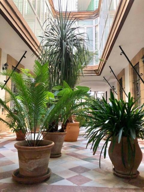 Gatu La Del Mercado, Apart Con Parking En Edificio Con Encanto En El Centro Histórico