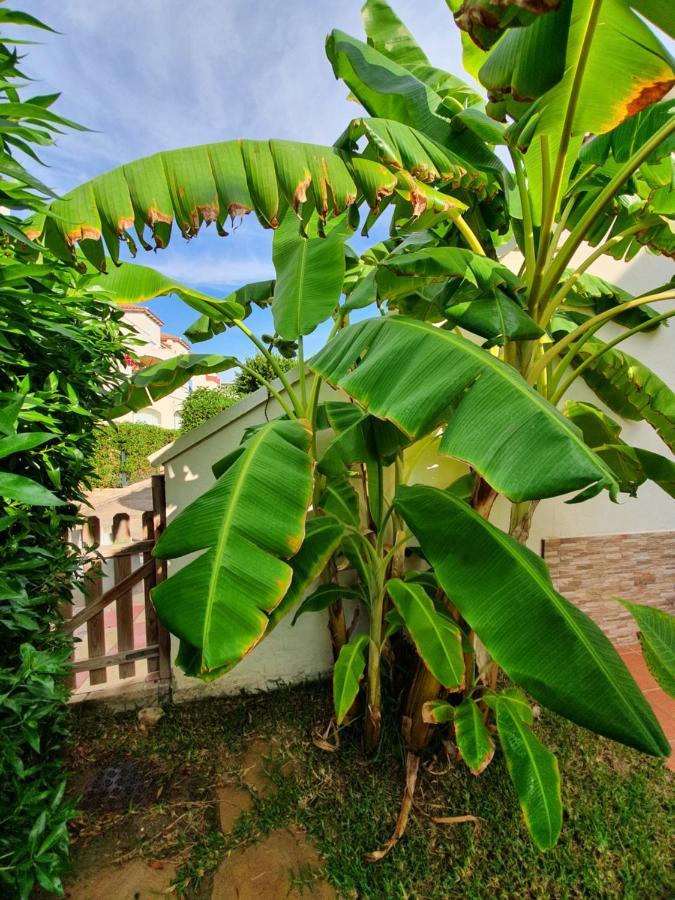 Apartment Casa Luxury Nudista *
