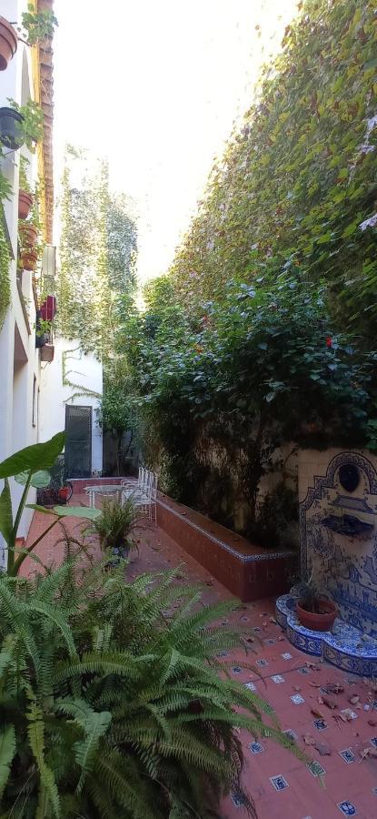 Apartamento Santa Cruz 3 * Sevilla