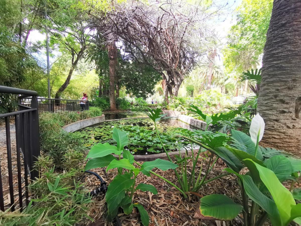 Apartment Home2book Charming Center Cruz