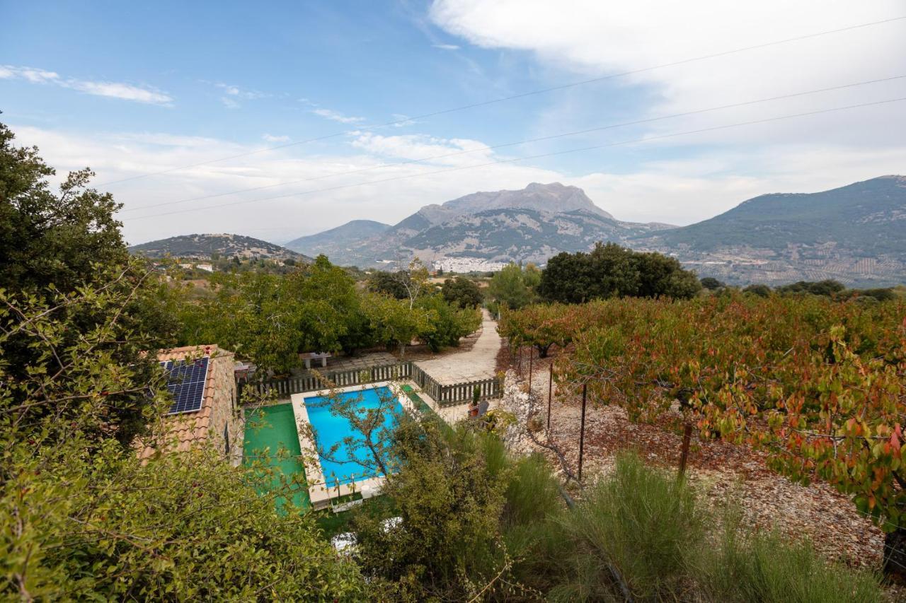 Country house Casa Jurinea *