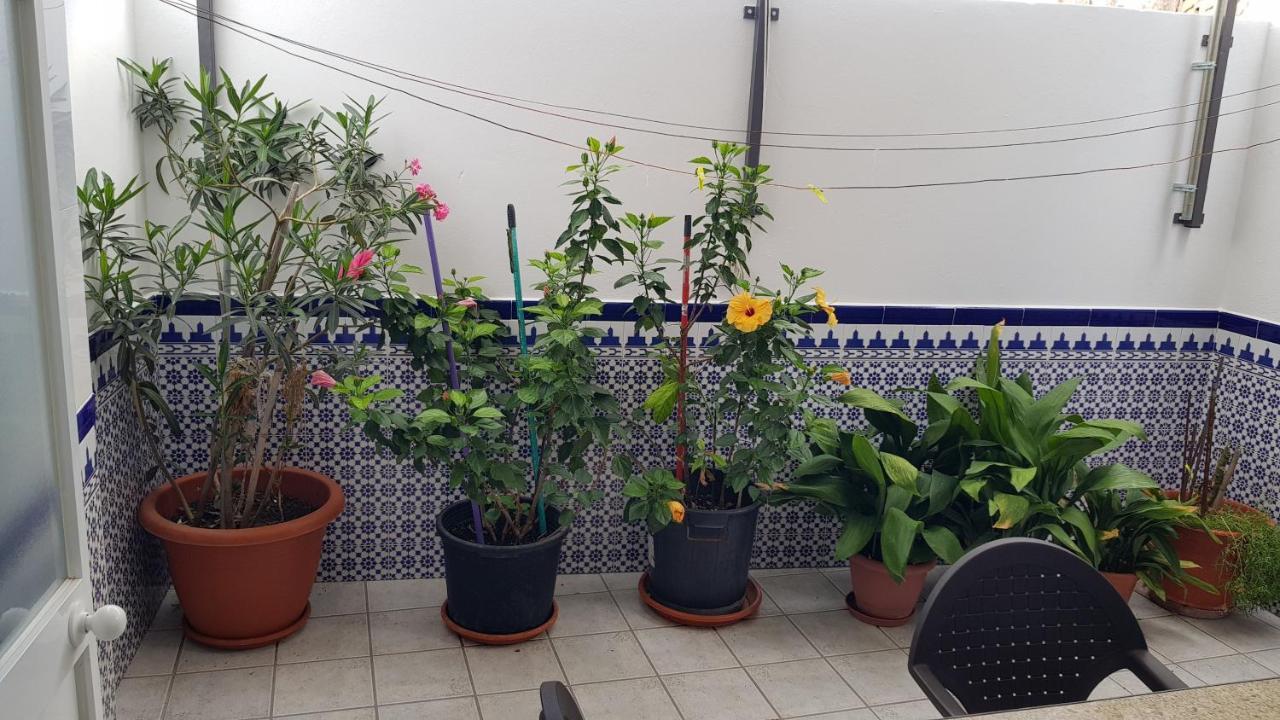 Apartment Callejuela Flores