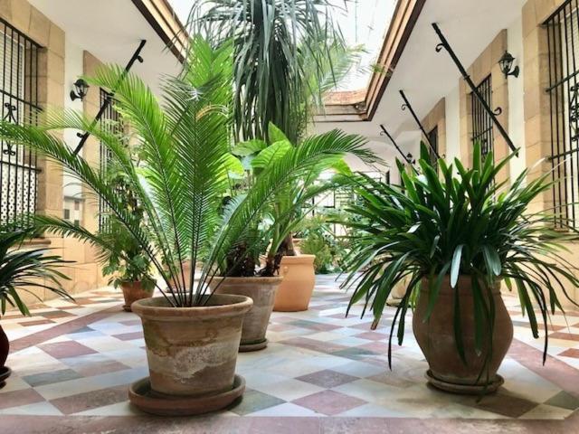 Apartamento Gatu La Del Mercado, Apart Con Parking En Edificio Con Encanto En El Centro Histórico