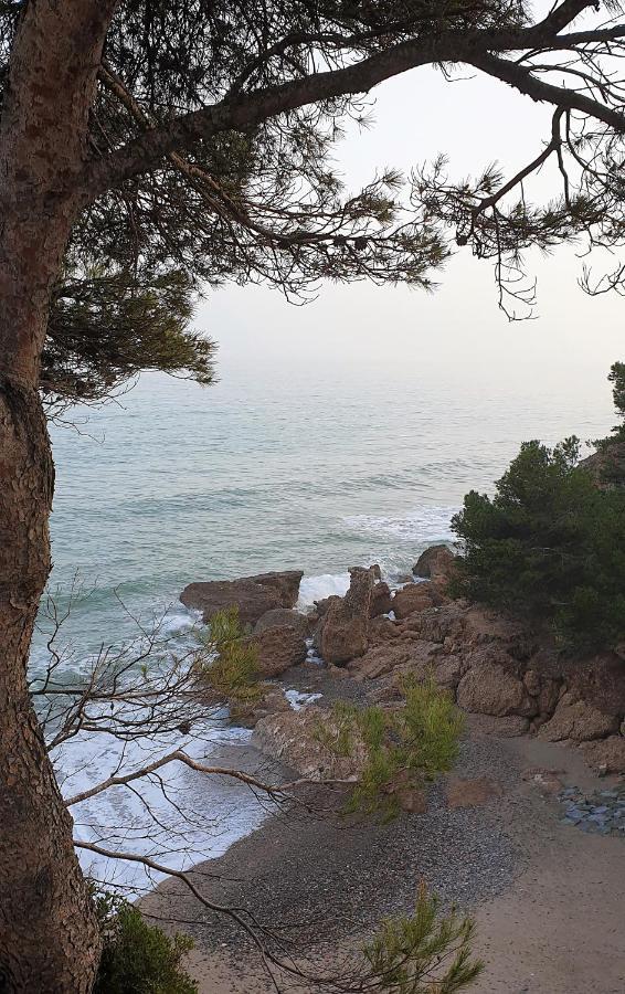 Villa Aquamarina: Mediterranean Getaway With Garden And Sea Proximity