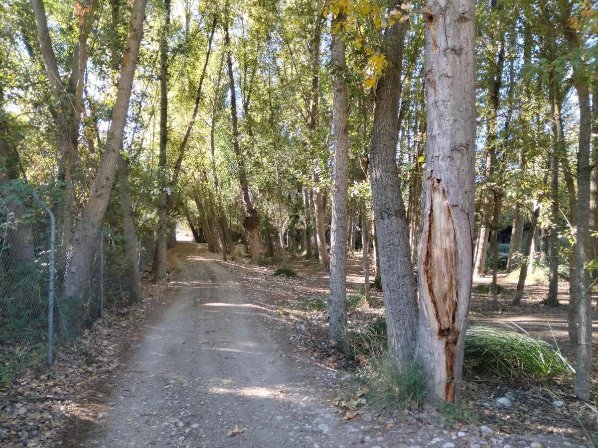 Holiday home Casa Cueva Salamandra
