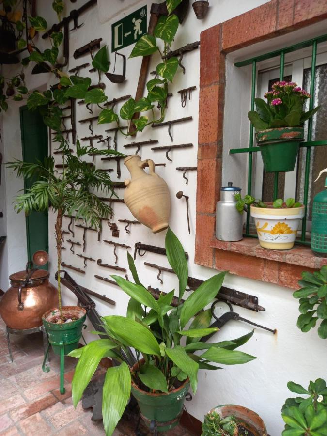 Casa Museo Jerez Centro Apartamento Jerez de la Frontera
