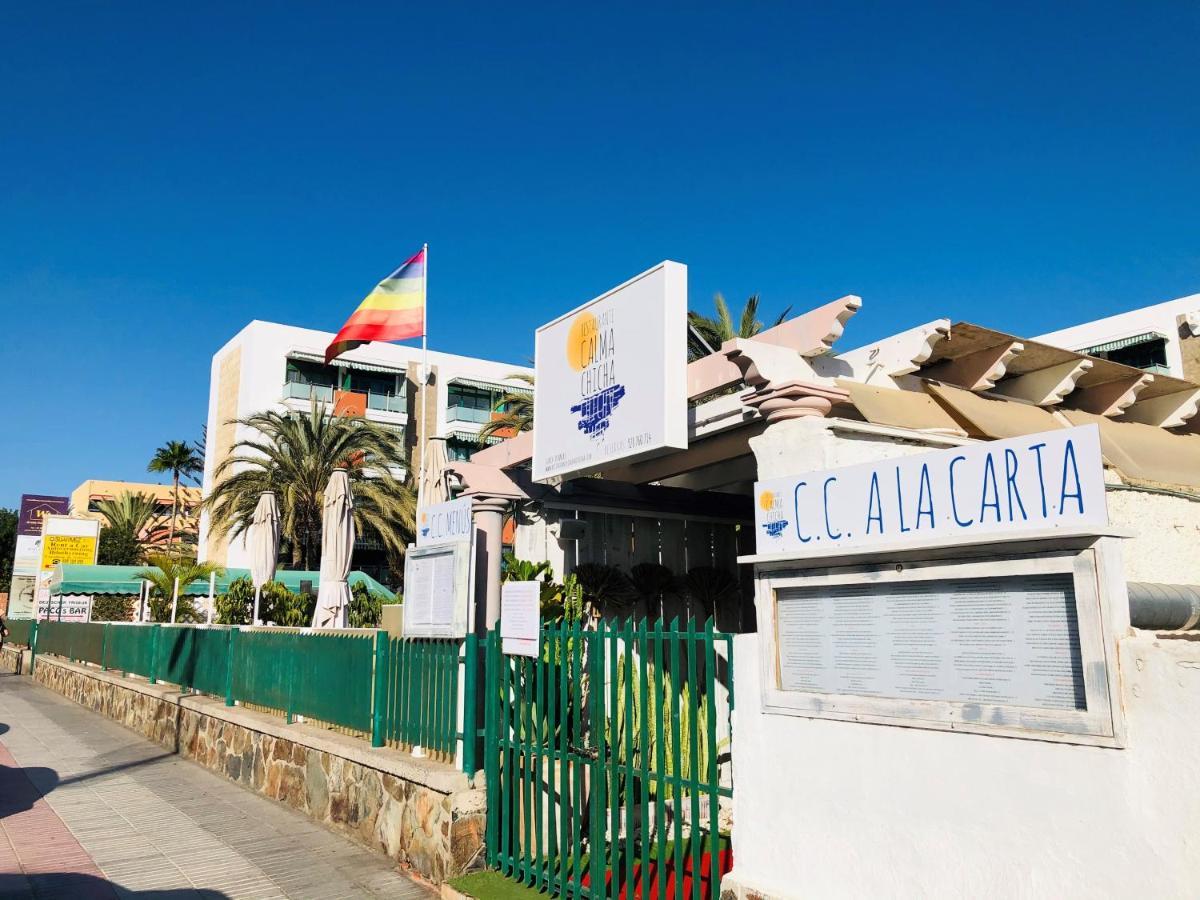 Palm Trees View Of The Dunes Playa del Inglés