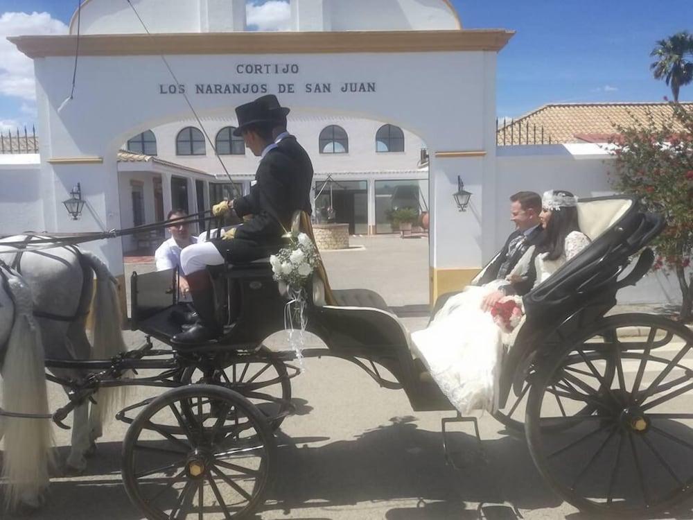 Hotel Cortijo Los Naranjos De San Juan 4*