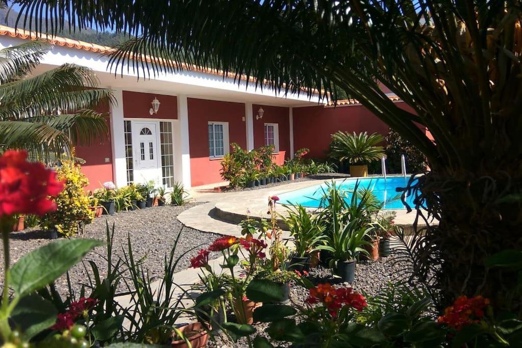 Apartment Catalino I