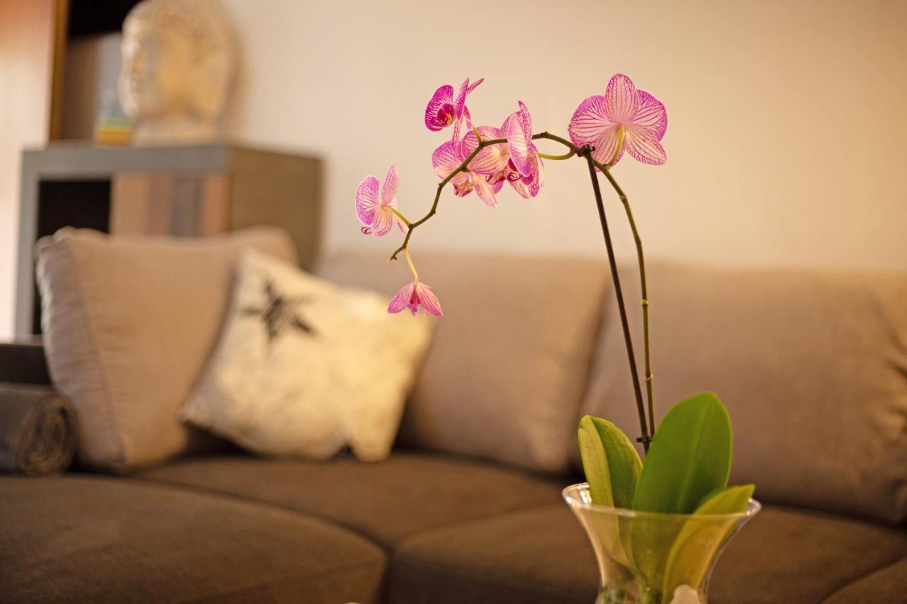 Casa Alexis Holiday home *