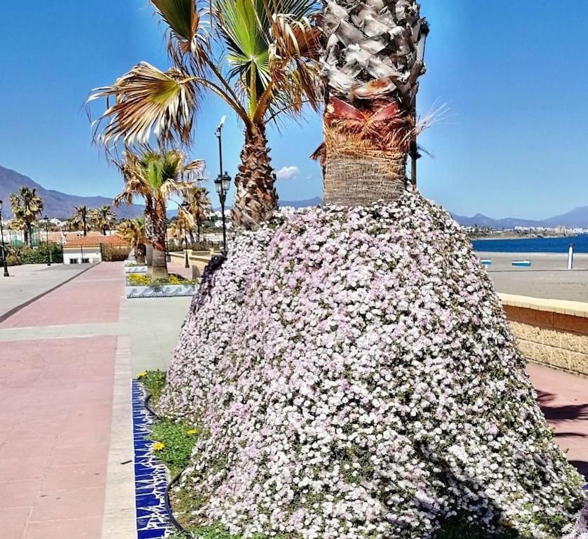 28 Mikonos Playa In Puerto De La Duquesa 2 Bed 2 Bath Ideally Located To The Beach & Marina