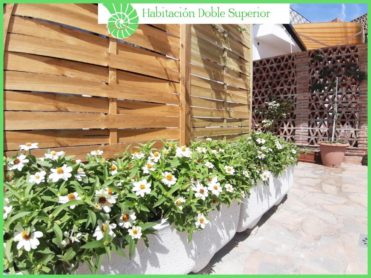 Habitación en casa particular Biznaga Hols (adults Only) Benalmádena