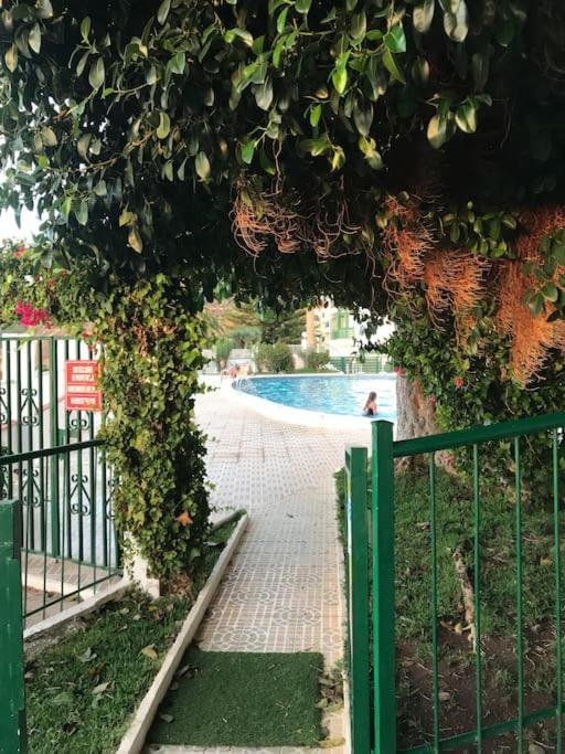 Apartment Sea View Relax And Surf Bajamar (La Laguna)