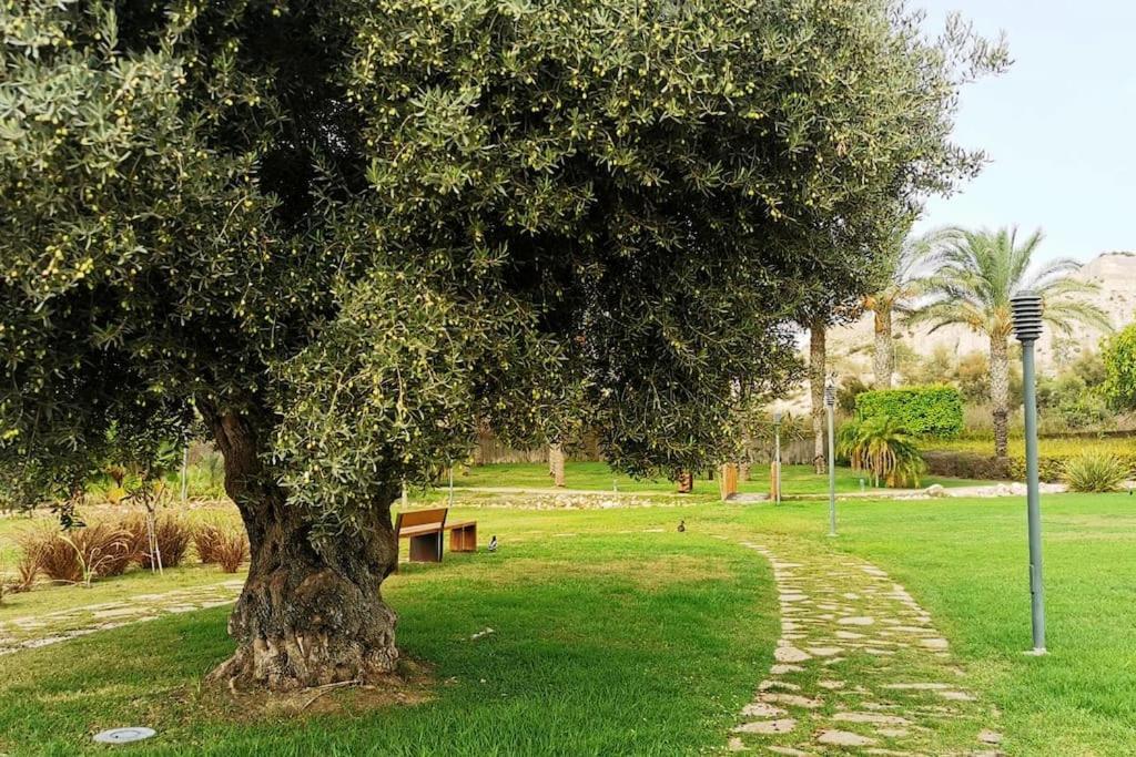 Apartamento Sol Y Alma Mediterranean Vera