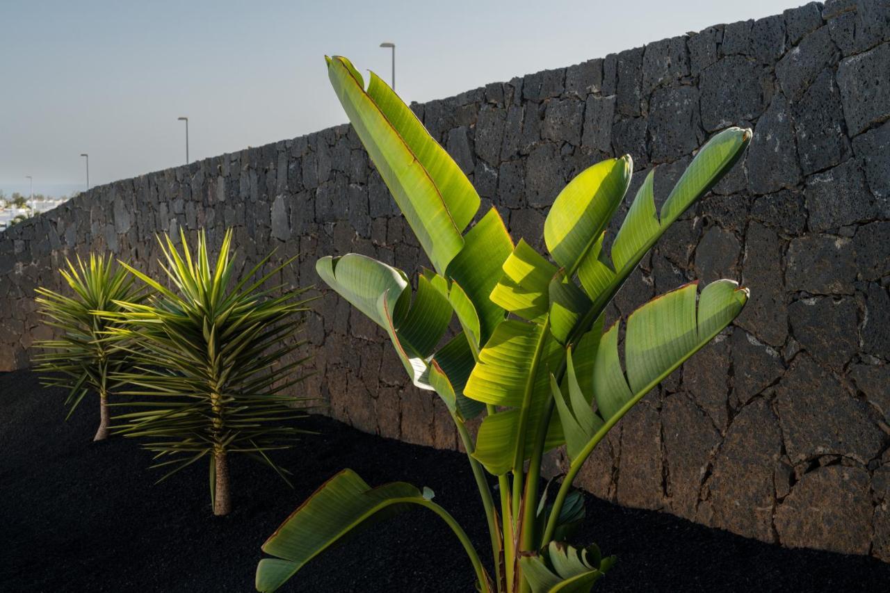 Altos De Lanzarote Villa Playa Blanca (Lanzarote)
