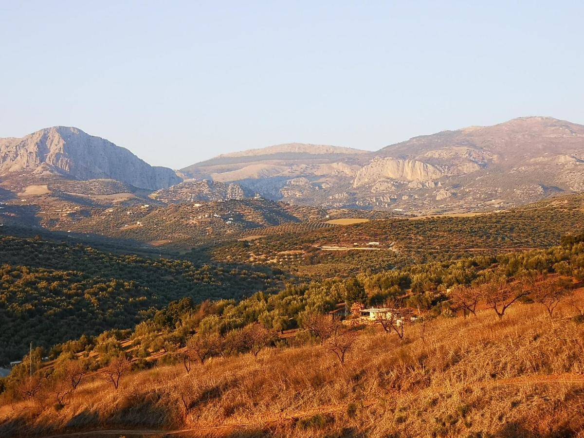 Finca Pil - Casa Rural Con Piscina Country house