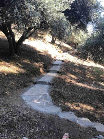 La Cabieda - Junto Al Río Cañamares - Ideal Grupos Y Familias Chilluevar