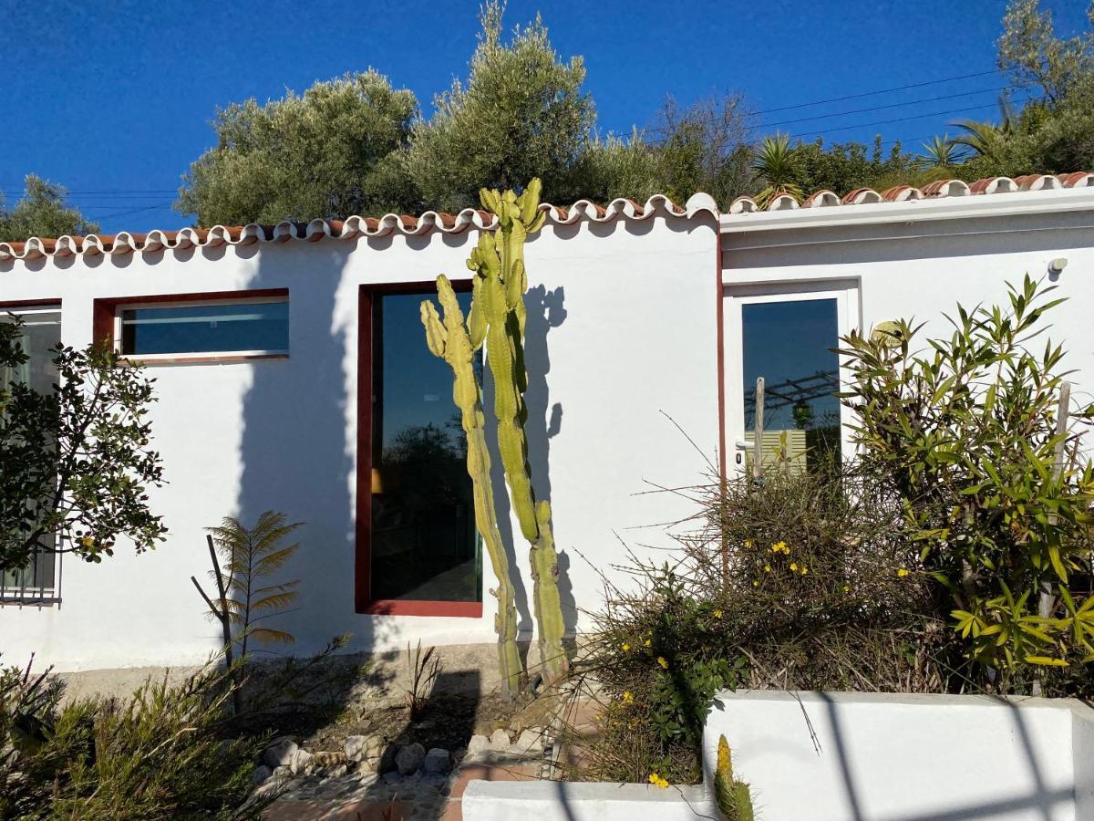 Lagabella