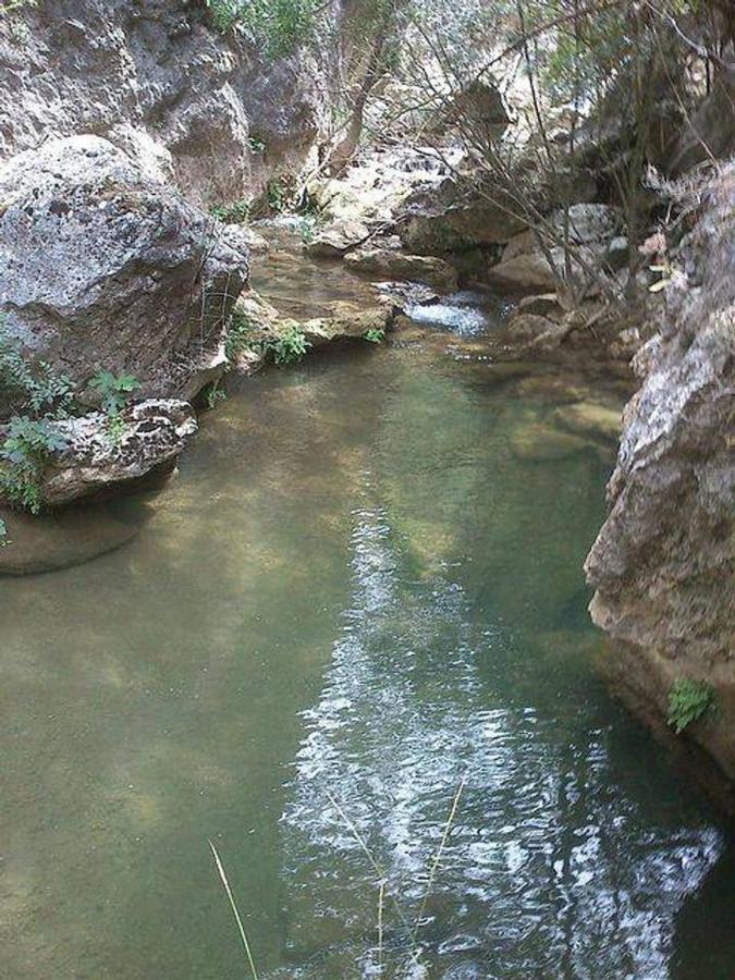 La Cabieda - Junto Al Río Cañamares - Ideal Grupos Y Familias