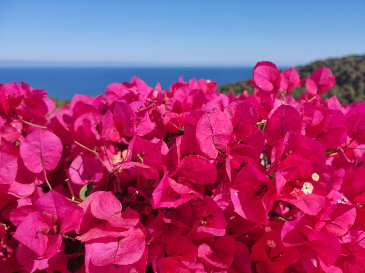 Apartamento Your Paradise At Costa Brava Blanes