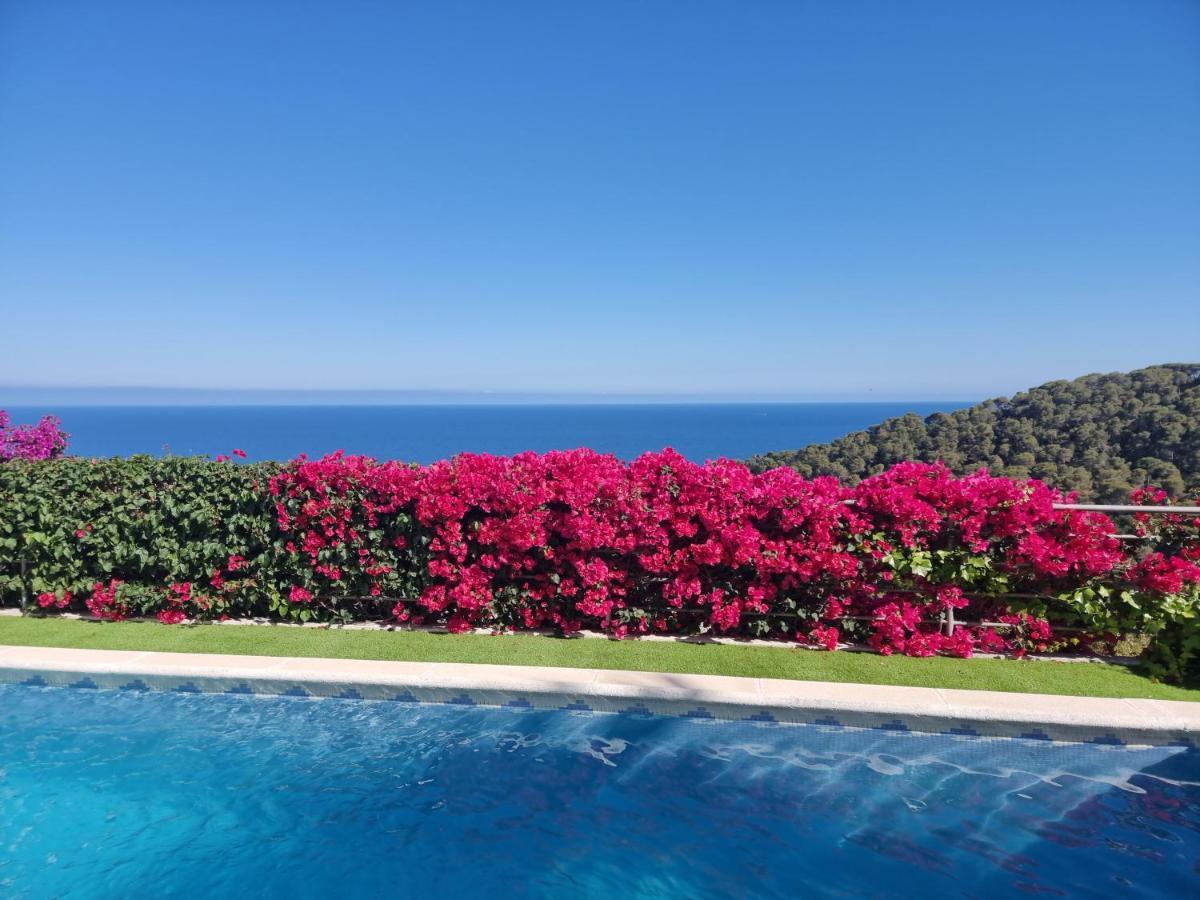 Apartamento Your Paradise At Costa Brava Blanes