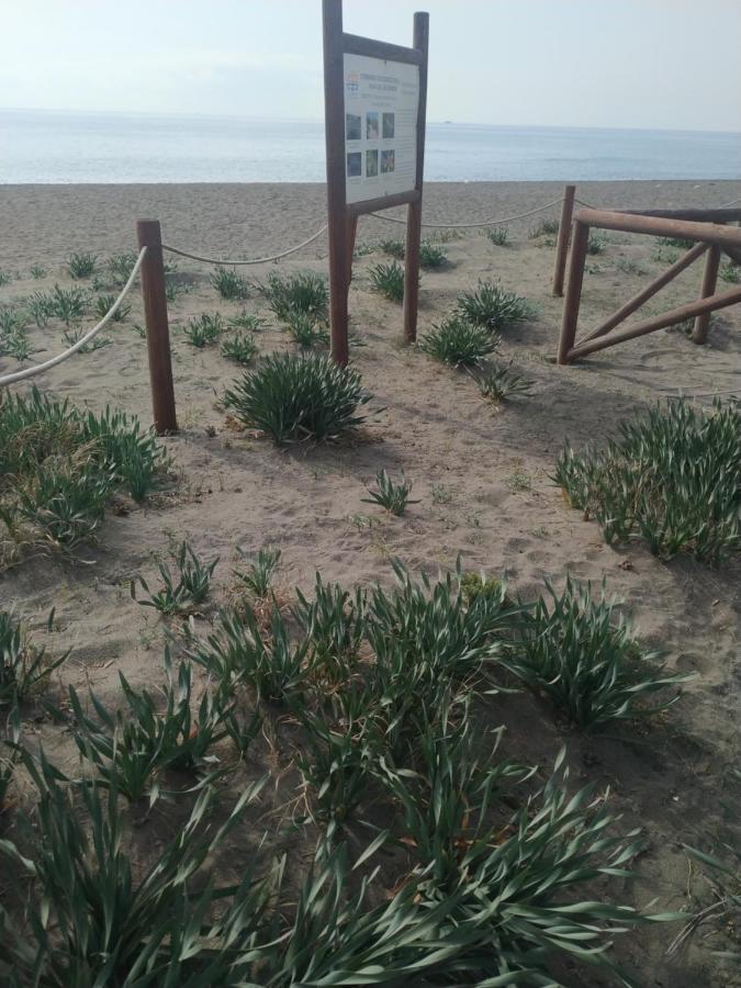 Nature * Vélez
