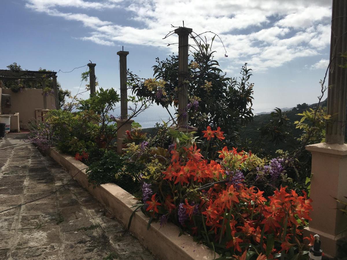 Casa Ayane Santa Cruz de la Palma (Isla de la Palma)