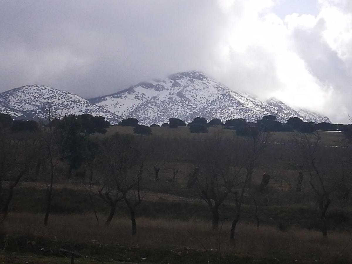 Cortijo Soledad * El Sauco