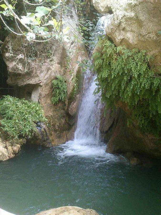 Сasa de vacaciones La Cabieda - Junto Al Río Cañamares - Ideal Grupos Y Familias
