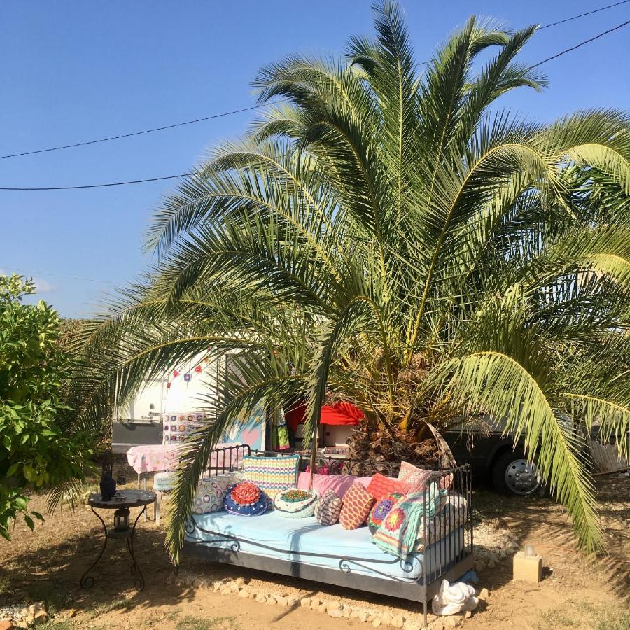 Fahala Camping *