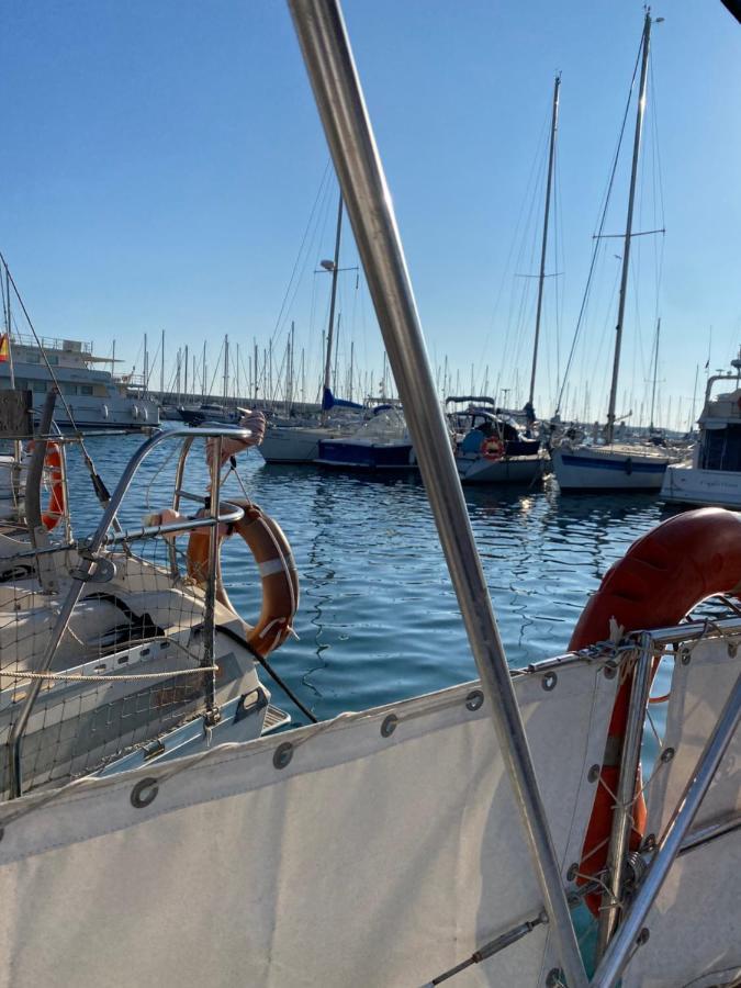 Welcome Aboard Yacht Cruiser! *