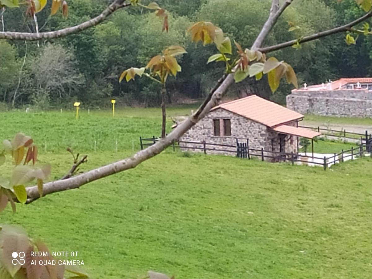 Jerreru Holiday home Alea