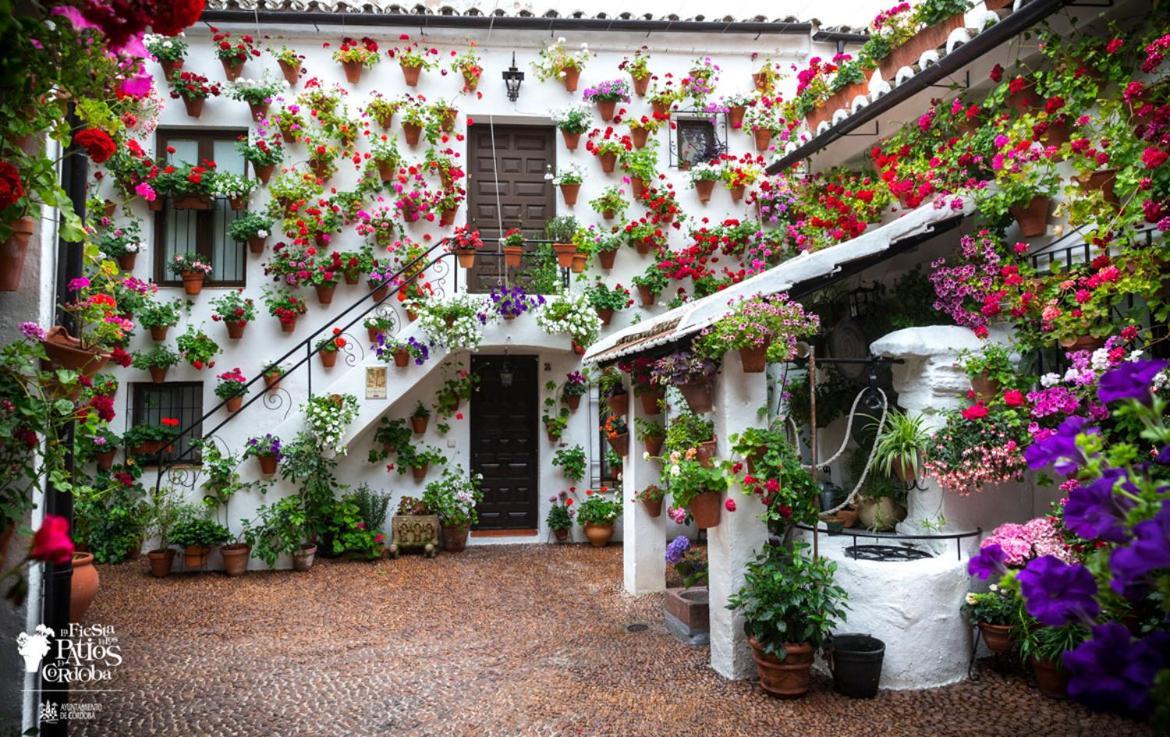 Puerta A La Mezquita Apartment