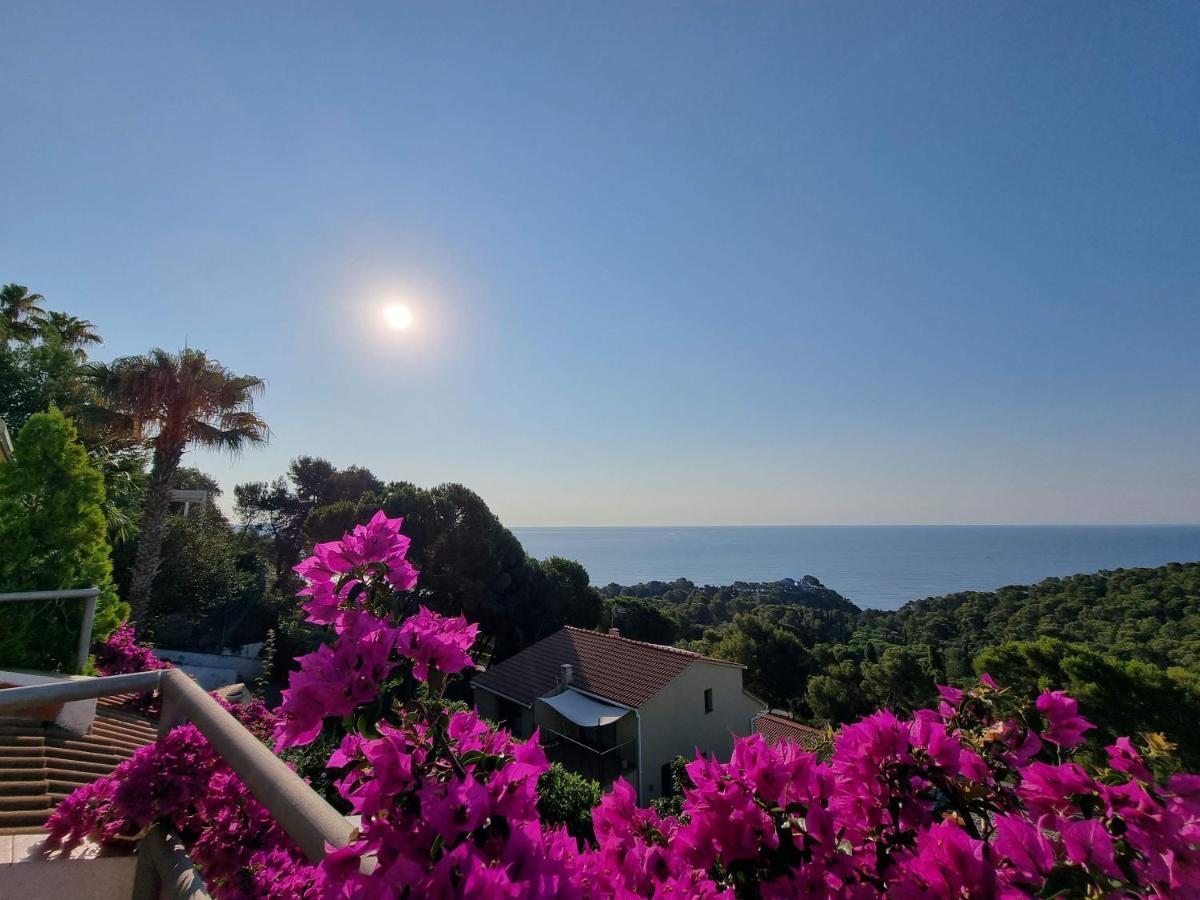 Your Paradise At Costa Brava * Blanes