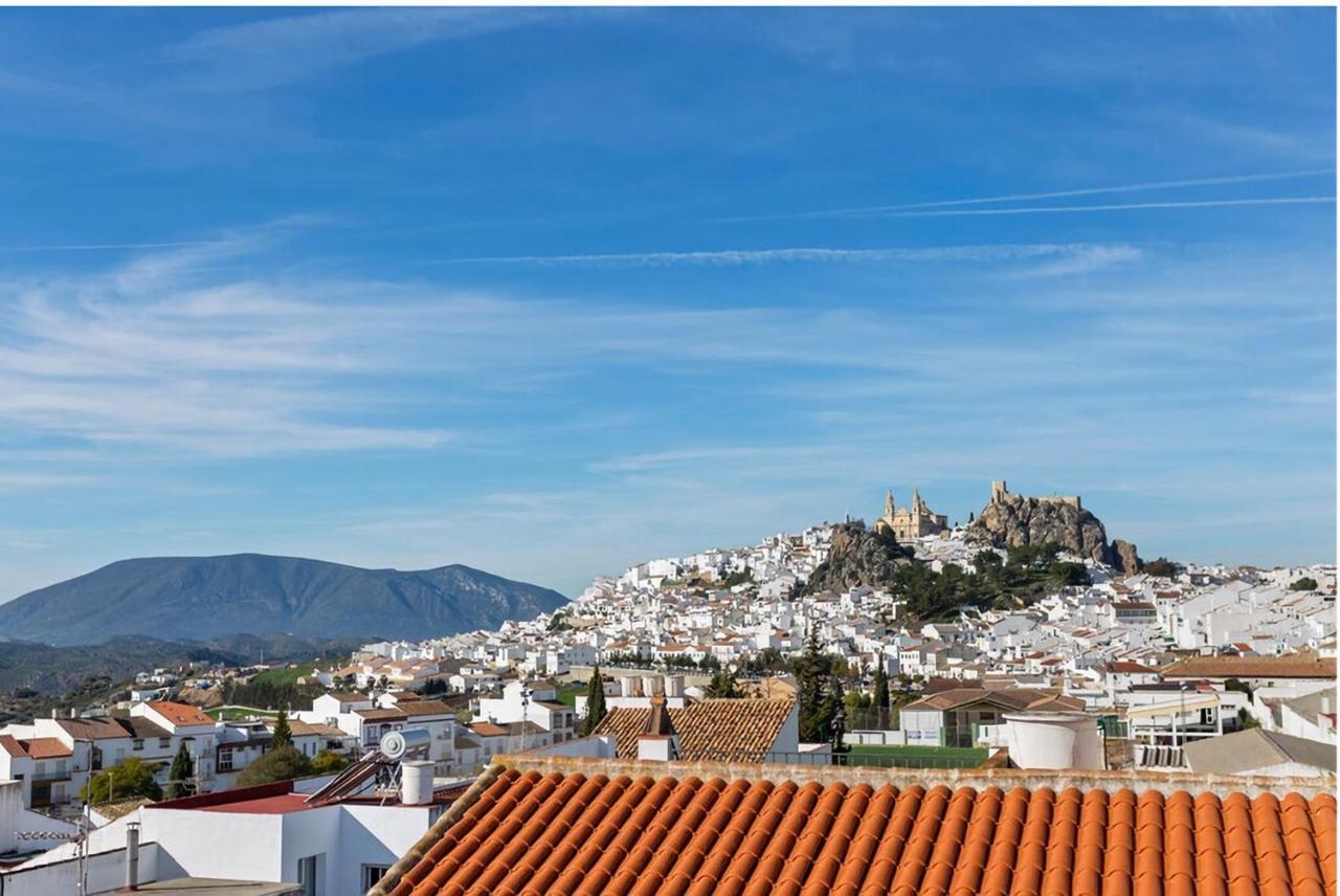 Apartamento En * Olvera