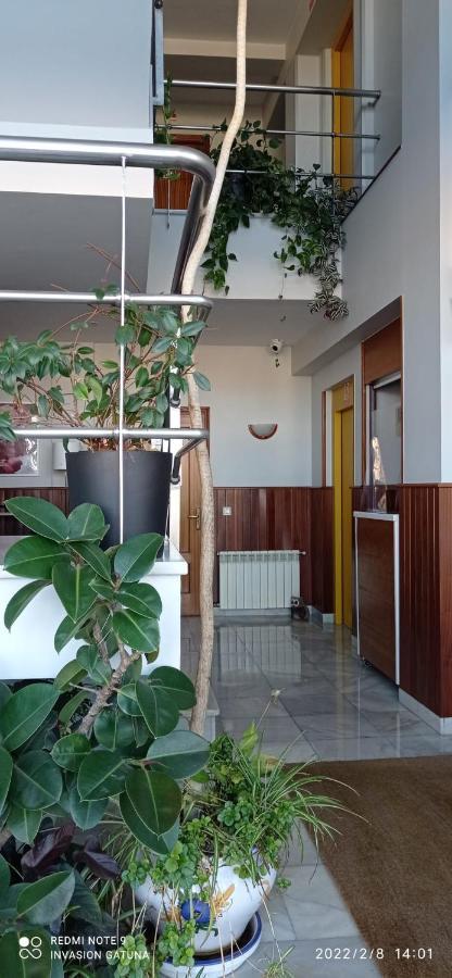 Hotel Narcea *