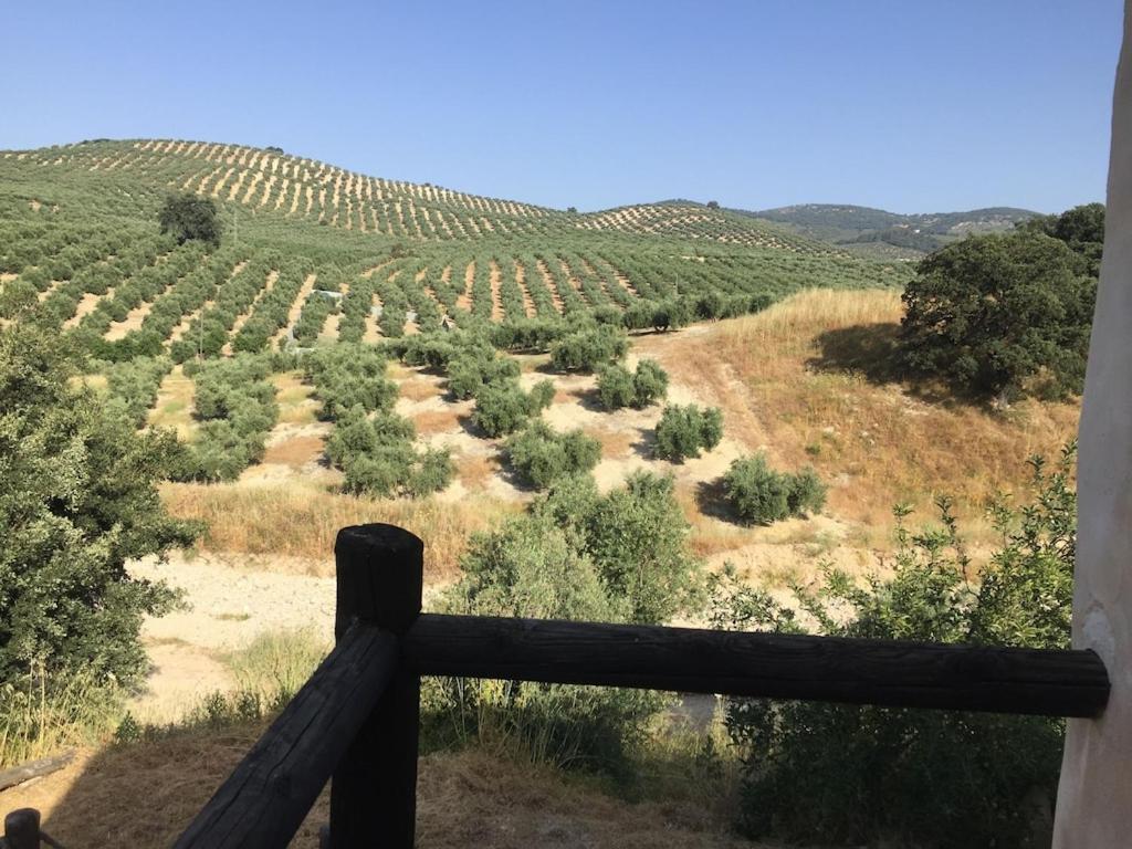Orozca Farmhouse Lagoon Pool With Retro Hot Tub And Wi-fi Villa Montefrio