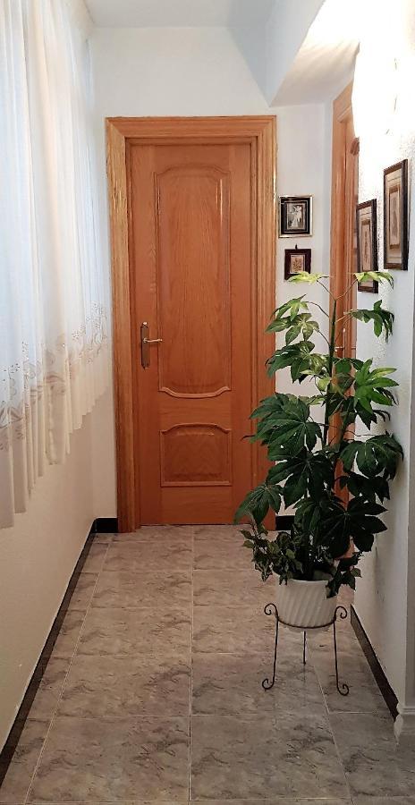 Armonía:céntrico, Tranquilo Y Acogedor Apartamento