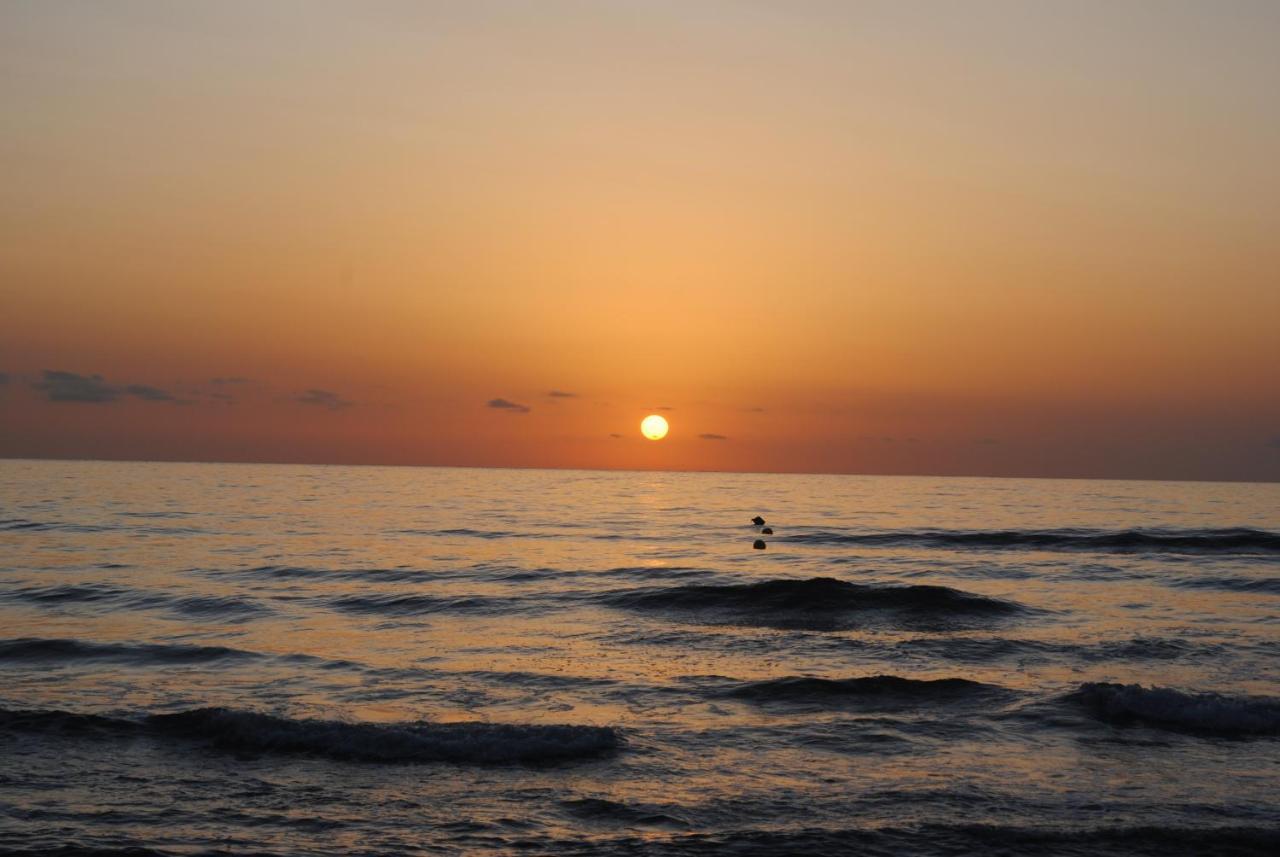 Gandia Playa-apartamento Gandiazar 2 - Vt- 49300-v Playa de Gandia