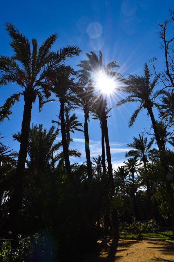 Rafaello ,,la Zona Cabo Roig, Area Cabo Roig