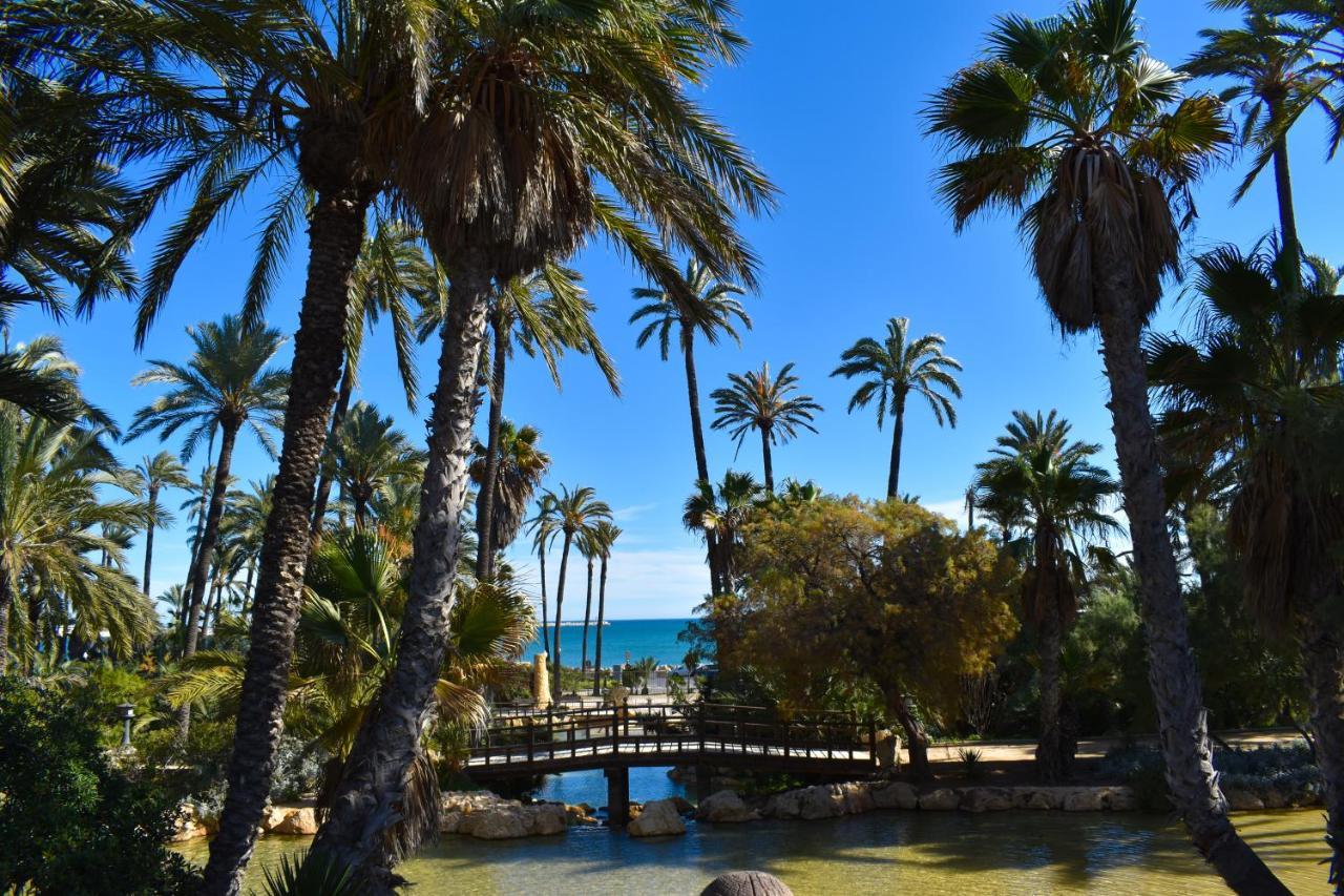 Rafaello ,,la Zona Cabo Roig, Area Cabo Roig