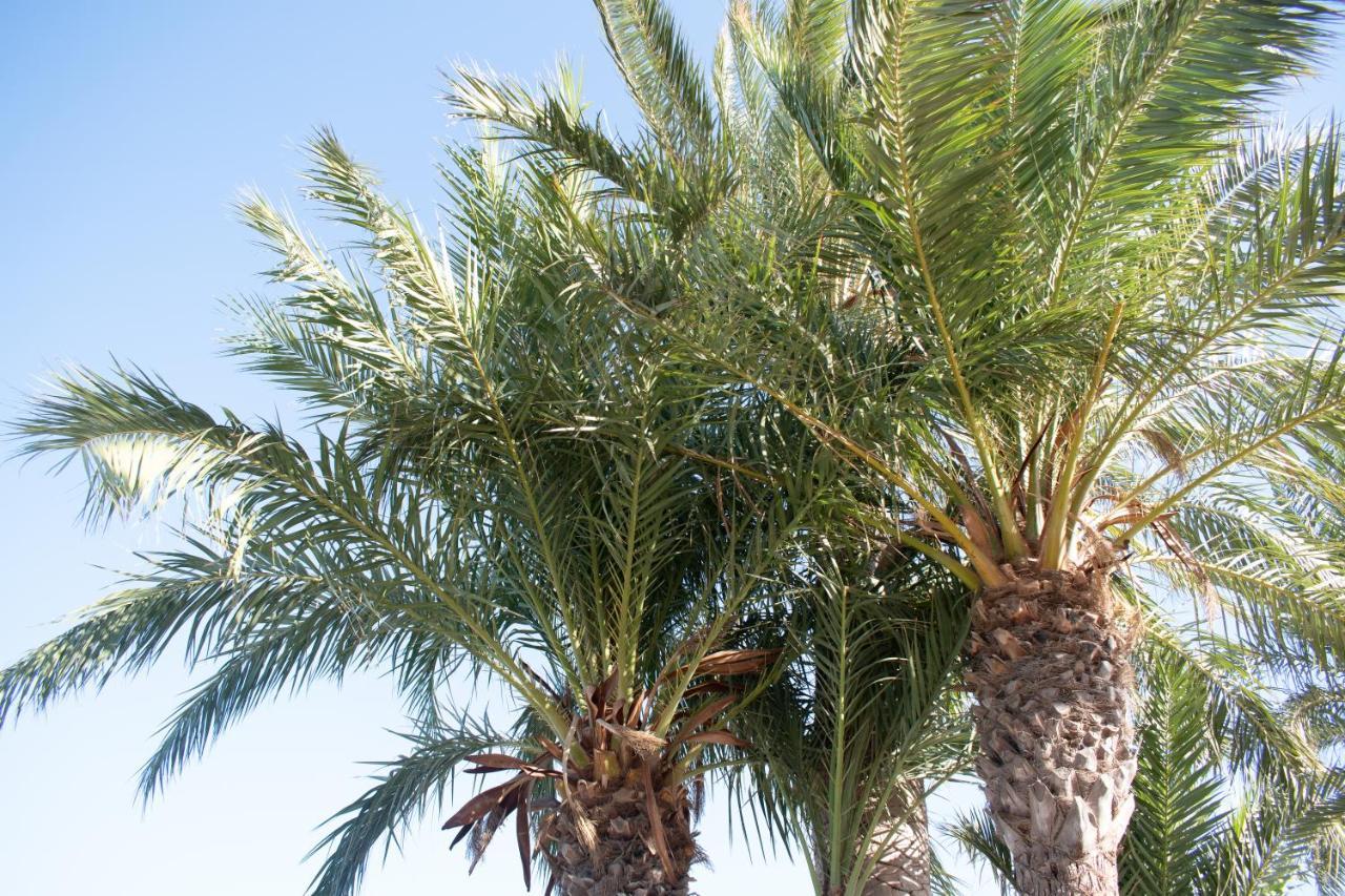 Rafaello ,,la Zona Cabo Roig, Area Cabo Roig