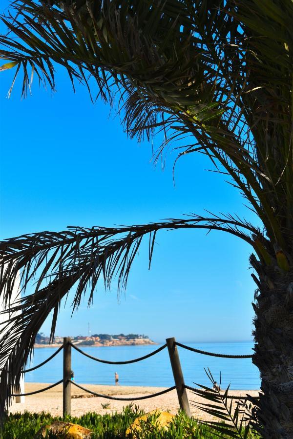 Rafaello ,,la Zona Cabo Roig, Area Cabo Roig